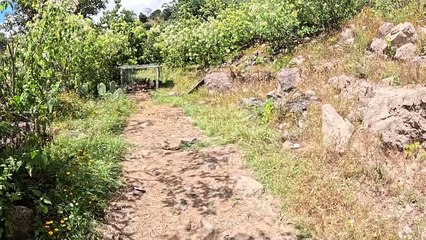 Lo verde de mi tierra | Mi tierra bendita que en tiempos de lluvia suele enverdecer