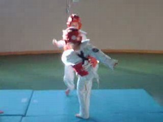TAEKWONDO ASSOCIATION MAITRE KIM
