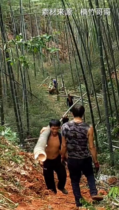 The current situation in rural China is that the poorest areas rely entirely on manual labor to transport bamboo.