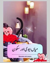 Husband wife relationship