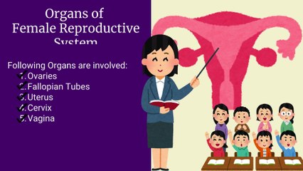 Parts of Female Reproductive System MADE EASY | Novice Medic