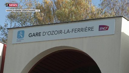 Seine-et-Marne : 4 personnes blessées à coups de hache dans une bagarre