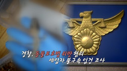 [영상] 빌라에서 발견된 죽은 도마뱀들...'동물보호법 위반' 세입자 입건 / YTN