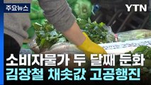 소비자물가 두 달째 1%대 둔화...'김장 물가' 불안 여전 / YTN