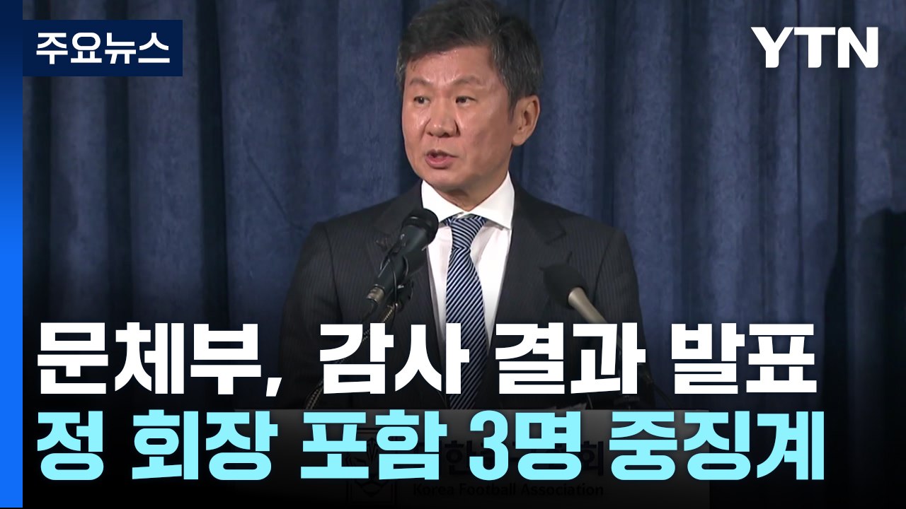 문체부, 정몽규 회장 중징계 요구...실효성은? / YTN