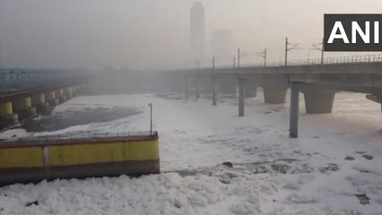 दिल्ली के कालिंदी कुंज में यमुना में जहरीला झाग