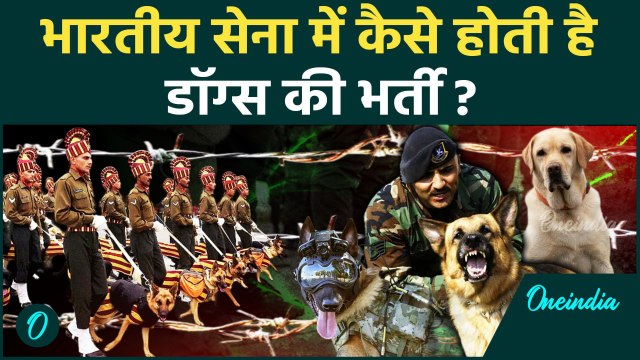 Indian Army: भारतीय सेना में डॉग्स की भर्ती का ये प्रोसेस आपको नहीं पता होगा | वनइंडिया हिन्दी