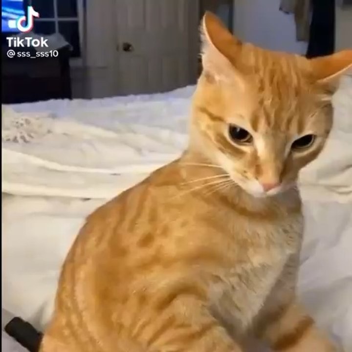 Este es mi vídeo más reciente