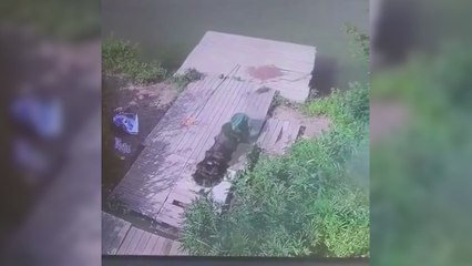 El truco de escapismo que hace este pez es de película