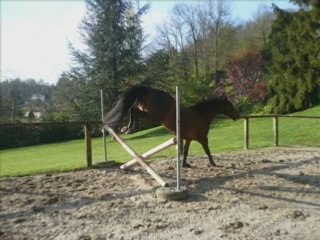séance liberté du 23 avril 2008