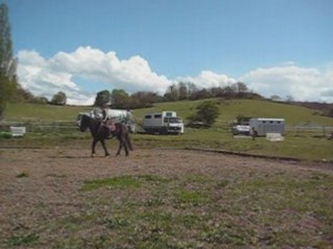 Néro cercles au trot