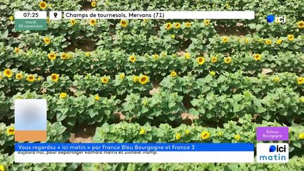 05/11/2024 - ICI Matin France Bleu Bourgogne en vidéo