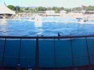 Marineland