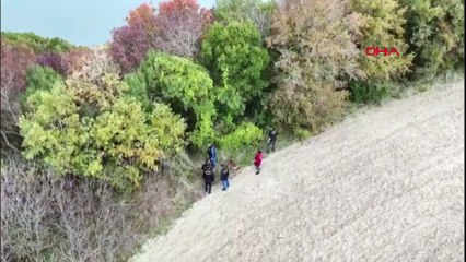 Kayıp iş insanı ormanda ölü bulundu
