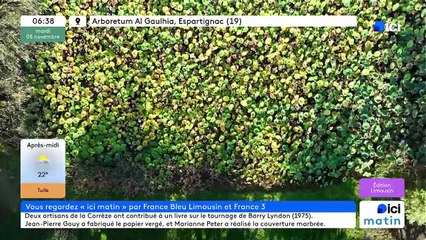 05/11/2024 - ICI Matin France Bleu Limousin en vidéo