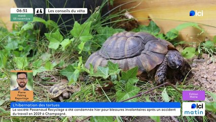 05/11/2024 - ICI Matin France Bleu Maine en vidéo