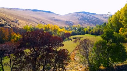 Van'daki Gürpınar Ovası sonbahar renklerine büründü
