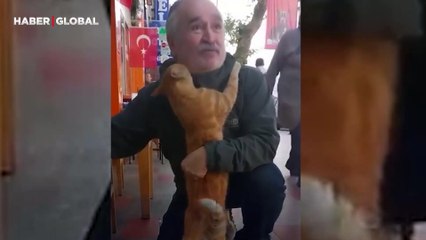 Sokak kedisinin sarılıp bırakmadığı amca sosyal medyada gündem oldu