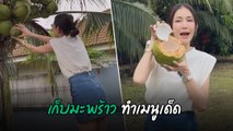 เนย โชติกา กลับบ้านเกิดพัทลุง ปีนเก็บลูกมะพร้าว ทำเมนูเด็ด