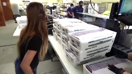 Georgia chief promises 'free, fast and fair' election