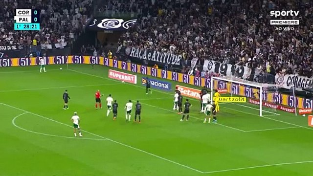 Torcida do Corinthians arremessa cabeça de porco no gramado