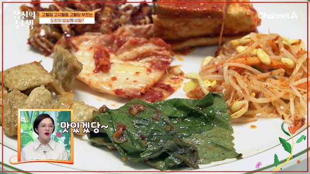 20대와는 다른 50대의 다이어트♨♨ 비만 체질 바꿀 '평생 각인 다이어트'