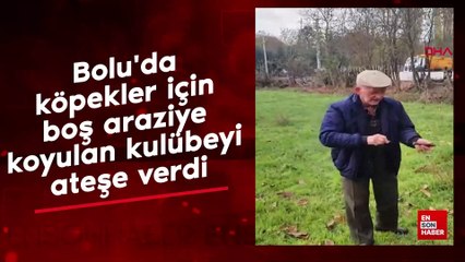 Bolu'da köpekler için boş araziye koyulan kulübeyi ateşe verdi