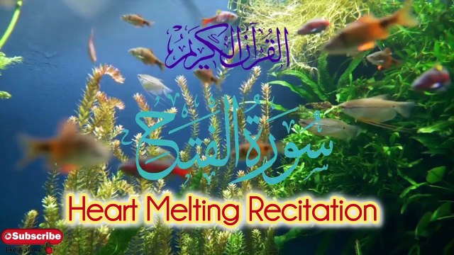 Surah Al-Fath Full Beautiful Heart Touching Recitation _ The Victory _ Surah Fatah Beautiful Tilawat