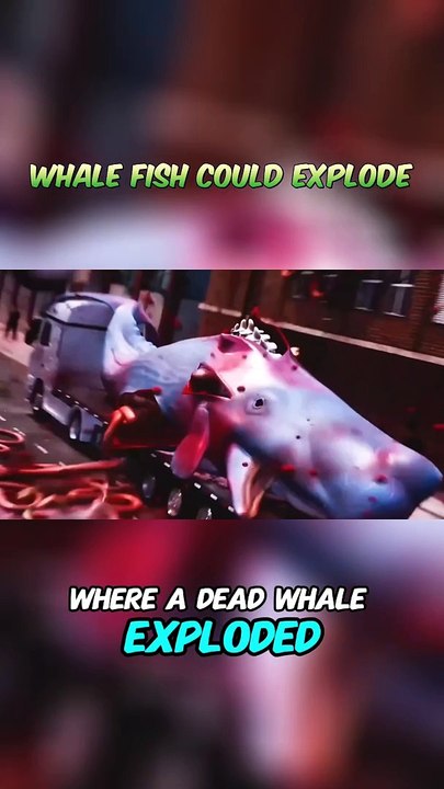 Whale Fish Could Explode