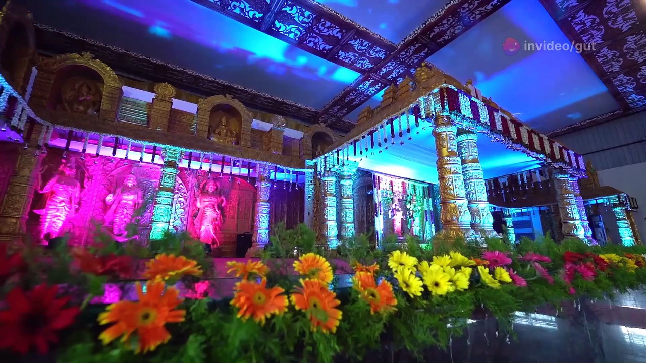 Unlocking Digestive Wellness: A Deep Dive into Gut Go Reviews