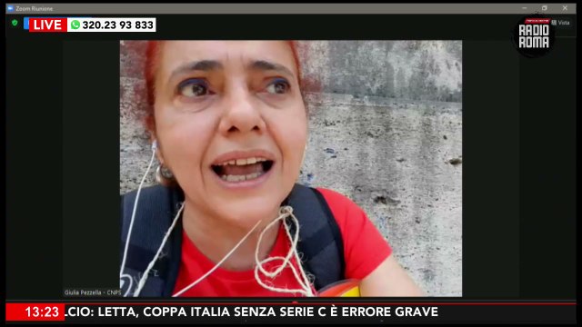 Lo Stato sta fondando la scuola pubblica sul precariato . La manifestazione dei docenti al MIUR