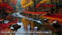 Sống Chết Có Số Phú Quí Do Trời