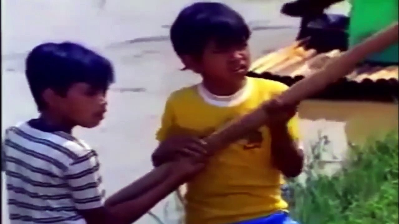 Chips (1982)