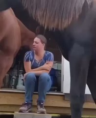 #insolite Je ne l’aurais pas cru si je ne l’avais vu ! Un câlin réconfort d’un cheval qui voit la tristesse de son entraîneuse #instantscâlins #calin #câlin #animalier #cheval #chevalpassion #tendresse