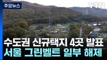 그린벨트 풀었다!...서리풀 등 4곳에 5만 가구 공급 / YTN