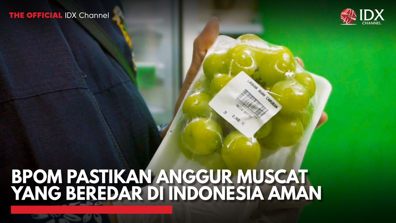 BPOM Pastikan Anggur Muscat yang Beredar di Indonesia Aman