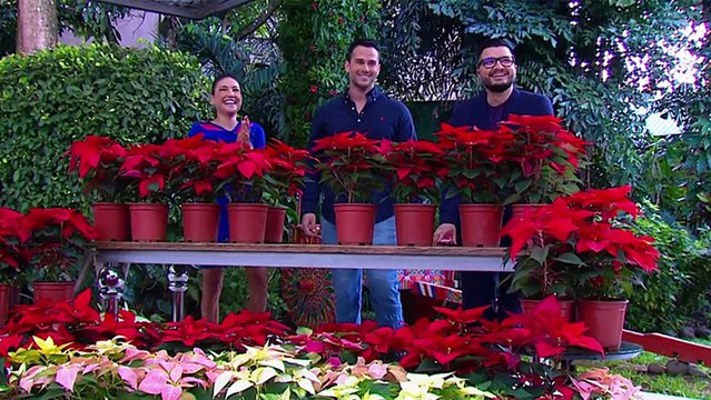 bd-preciosas-pastoras-051124