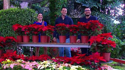 bd-preciosas-pastoras-051124