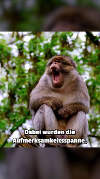Umfrage zeigt: Wenn ihr mindestens 5 Stunden die Woche zockt, ist euer Gehirn 14 Jahre jünger