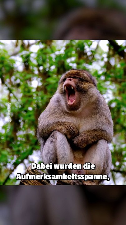 Umfrage zeigt: Wenn ihr mindestens 5 Stunden die Woche zockt, ist euer Gehirn 14 Jahre jünger