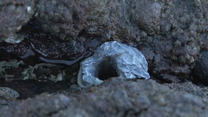 갯바위 구멍 뚫다 적발되면 과태료 최대 200만 원 / YTN