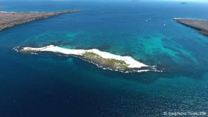 Galápagos: autoabastecerse para proteger a las islas