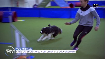 Vos animaux : Faire du sport avec son chien, le duo gagnant