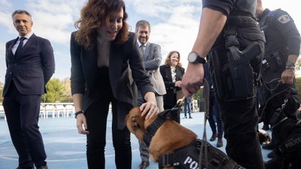 Ayuso se emociona al hablar de la DANA: "Solo quiero lo mejor para el pueblo de Valencia"