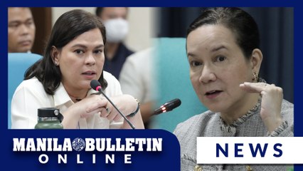 Senate adopts House’s proposed P733-M budget for OVP