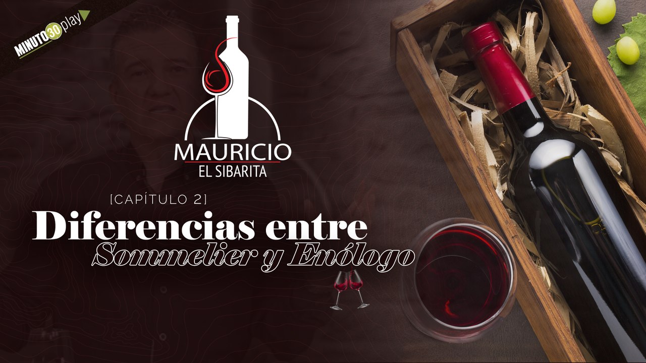 2  Las diferencias entre Sommelier y Enólogo