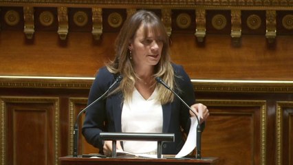 Airbnb : « La proposition de loi permettra une régulation au plus près des besoins du territoire »