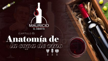 6. Anatomia de la copa de vino