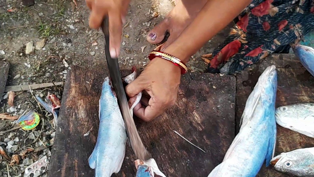 How to Cutting Khaga (Camouflage Catfish) Fish -  SMN Fish Cutting