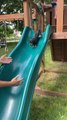 Miniature Pinscher Puppy Loves to Go Down Slide